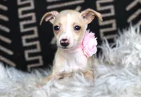 processed/3f0a6eba-c5bf-4faf-8013-c56edc4478e7/listing/8414869a-6519-4690-86ab-290df1ae2b85/9995485c-626a-4ccf-8d03-ee03e86b05ad