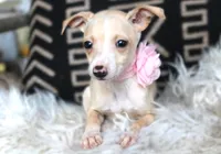 processed/3f0a6eba-c5bf-4faf-8013-c56edc4478e7/listing/8414869a-6519-4690-86ab-290df1ae2b85/b5759234-e27d-443b-b1be-9783626f3dc5