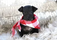 processed/3f0a6eba-c5bf-4faf-8013-c56edc4478e7/listing/a7ac01f8-16a5-4c5c-8532-d62bba4ec51f/4cd21808-78cc-4597-8b15-93030e6ea0e2