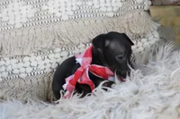 processed/3f0a6eba-c5bf-4faf-8013-c56edc4478e7/listing/a7ac01f8-16a5-4c5c-8532-d62bba4ec51f/c2866412-9085-46b7-b927-5d21db597c73