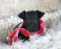 processed/3f0a6eba-c5bf-4faf-8013-c56edc4478e7/listing/a7ac01f8-16a5-4c5c-8532-d62bba4ec51f/f9d74791-2e43-4256-9507-f1103c73d5db