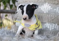 processed/3f0a6eba-c5bf-4faf-8013-c56edc4478e7/listing/abda97bc-ad2c-4214-96df-38598f190a59/93666142-97f4-4ebf-a808-3998c83e4bf8