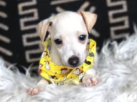 processed/3f0a6eba-c5bf-4faf-8013-c56edc4478e7/listing/bf25bd34-a1b4-48f3-b5f3-c6b9f0958acf/2e3bc2dd-486b-42b7-ad9c-9ab821101163