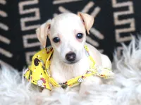 processed/3f0a6eba-c5bf-4faf-8013-c56edc4478e7/listing/bf25bd34-a1b4-48f3-b5f3-c6b9f0958acf/5cb14cae-50ba-4393-b284-c010347554a7