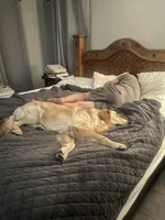 processed/3f0acd91-c240-4ac4-a4ec-e8927d31df7d/facility/374b6f3f-4972-4f70-b9f8-ab83c4e7ffae