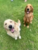 processed/3f0acd91-c240-4ac4-a4ec-e8927d31df7d/facility/49f2c687-7463-4f9f-b99f-3fc4c59b2b7a