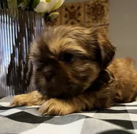 processed/3f103e2d-ddd6-474e-ac76-f36100b1b5b9/listing/8d1ea98b-37bd-4634-816a-2a3fc0d5e80f/58131cc4-8629-4dd6-977d-43089cba6d29