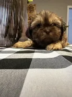 processed/3f103e2d-ddd6-474e-ac76-f36100b1b5b9/listing/8d1ea98b-37bd-4634-816a-2a3fc0d5e80f/58cf42cc-e69b-4897-a5d9-f3d6bf993e3b