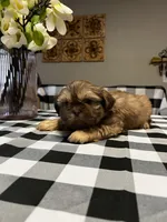 processed/3f103e2d-ddd6-474e-ac76-f36100b1b5b9/listing/8d1ea98b-37bd-4634-816a-2a3fc0d5e80f/5ed23253-c06f-4de3-9262-0e09a63a33a4