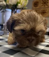 processed/3f103e2d-ddd6-474e-ac76-f36100b1b5b9/listing/8d1ea98b-37bd-4634-816a-2a3fc0d5e80f/a6394280-1566-47ac-b021-af7c3530968b