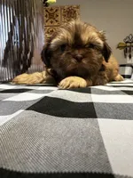 processed/3f103e2d-ddd6-474e-ac76-f36100b1b5b9/listing/8d1ea98b-37bd-4634-816a-2a3fc0d5e80f/f50decbc-ef7f-4a64-9a4c-fc8fe3f0f435