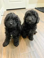 processed/3f192e51-9fcd-45b5-84da-fa2ad04a1af5/facility/52b7a2c7-9ad2-48f3-8e53-5b14feb32276