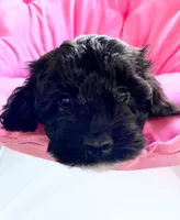 processed/3f192e51-9fcd-45b5-84da-fa2ad04a1af5/facility/9a6e422b-dffe-4e5c-baae-06dccd8fc334