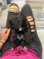 processed/3f192e51-9fcd-45b5-84da-fa2ad04a1af5/facility/bbe37fac-df81-45ce-908a-d36d501c7d58