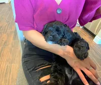 processed/3f192e51-9fcd-45b5-84da-fa2ad04a1af5/facility/c649035f-a9ab-4bf4-a928-a91671588d3a