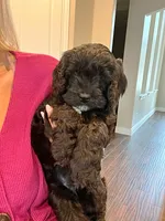 processed/3f192e51-9fcd-45b5-84da-fa2ad04a1af5/facility/d7f63b38-1861-4911-92fa-89a14cfb31a6