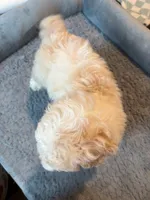 processed/3f192e51-9fcd-45b5-84da-fa2ad04a1af5/listing/6b3c94c7-a16b-4b37-aa85-266fe2ce6997/f28d8358-f34a-485a-85a1-2f2a07a9a707