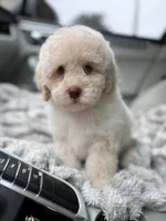 processed/3f192e51-9fcd-45b5-84da-fa2ad04a1af5/listing/cb9f47d8-fec8-4a32-82d2-38b040c6722e/40f421a6-a2d4-4040-813c-bcc42460b3ef