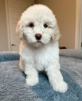 processed/3f192e51-9fcd-45b5-84da-fa2ad04a1af5/listing/cb9f47d8-fec8-4a32-82d2-38b040c6722e/4ce347c3-b39d-45e7-bf61-6a6031582f19