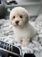 processed/3f192e51-9fcd-45b5-84da-fa2ad04a1af5/listing/cb9f47d8-fec8-4a32-82d2-38b040c6722e/5f5c3915-107f-4258-b8b6-607aa7f0f94c