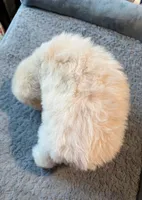 processed/3f192e51-9fcd-45b5-84da-fa2ad04a1af5/listing/cb9f47d8-fec8-4a32-82d2-38b040c6722e/98559487-d222-4fed-9c65-d28838d493b3