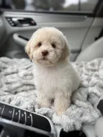 processed/3f192e51-9fcd-45b5-84da-fa2ad04a1af5/listing/cb9f47d8-fec8-4a32-82d2-38b040c6722e/fe4e0bd2-3a62-47b1-8358-e9f1c28e26d6