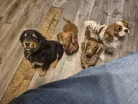 processed/3f1a32da-261d-4c70-be37-651d49dd5f3d/facility/1ff1bc8b-f98c-46d8-a585-3fd86ca2eea7