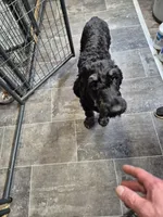 processed/3f1a32da-261d-4c70-be37-651d49dd5f3d/facility/56a5878d-406c-4ffa-824f-812521182b20