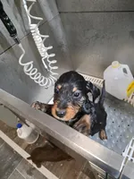 processed/3f1a32da-261d-4c70-be37-651d49dd5f3d/facility/77510f50-d7fa-4f36-a7d1-3c15b5ed1c47