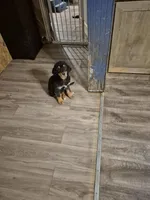 processed/3f1a32da-261d-4c70-be37-651d49dd5f3d/facility/7ccf2844-6f79-43de-b7cb-09ec1228d37c