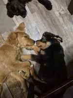 processed/3f1a32da-261d-4c70-be37-651d49dd5f3d/facility/d448362e-2db7-4765-9227-260d70babb4b