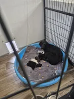 processed/3f1a32da-261d-4c70-be37-651d49dd5f3d/facility/d83bea4f-f017-4614-811f-f3ca74980575