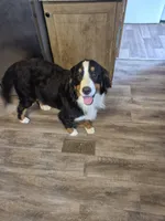 processed/3f1a32da-261d-4c70-be37-651d49dd5f3d/facility/db64c55a-1937-4d3a-b099-113b294f4627