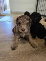 processed/3f1a32da-261d-4c70-be37-651d49dd5f3d/facility/e64c00c8-f0a5-4d63-9201-10f951490b4e