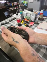 Oreo, a male Doxiepoo for sale in Bay Springs, MS – 5 of 6