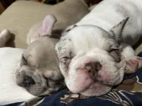 processed/3f2598ef-dc27-4379-9306-47c4bc8de53f/facility/09c04fe2-65ce-4f4d-93d5-14298cbdf07a