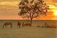 processed/3f2598ef-dc27-4379-9306-47c4bc8de53f/facility/0ed9f96c-b842-4299-9518-a5ae120f80a1