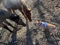 processed/3f2598ef-dc27-4379-9306-47c4bc8de53f/facility/77de3a05-a61f-4fac-ae76-f528ae2b15e5