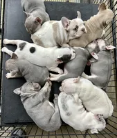 processed/3f2598ef-dc27-4379-9306-47c4bc8de53f/facility/a7931131-5319-4878-9c55-ba75a114de4d