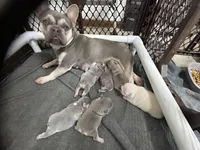 processed/3f2598ef-dc27-4379-9306-47c4bc8de53f/facility/c0ec9e71-d6a7-49d1-9319-6d3bd2c20b0c