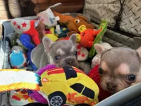 processed/3f2598ef-dc27-4379-9306-47c4bc8de53f/facility/ff83bf44-6b07-4afd-902e-aafa7f2443f8