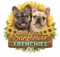 Platinum Angel, a female French Bulldog for sale in Paola, KS – Photo 10 of 10