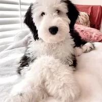 processed/3f372f00-9c60-473f-825a-91d138fc786a/facility/2c3e508e-509f-43f0-854d-921d569c6485