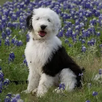 processed/3f372f00-9c60-473f-825a-91d138fc786a/facility/9dbe9f81-00da-4c2d-9fb2-18c0748a4857