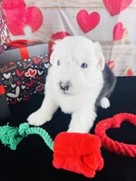 processed/3f372f00-9c60-473f-825a-91d138fc786a/listing/00268c90-1a7c-45b6-8e90-da12056b05e2/087ed7b6-fbb7-455e-b553-46dd3d5c9ea1