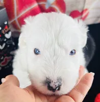 processed/3f372f00-9c60-473f-825a-91d138fc786a/listing/00268c90-1a7c-45b6-8e90-da12056b05e2/528dad59-d681-45ea-ad08-13bc637e4891