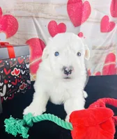 processed/3f372f00-9c60-473f-825a-91d138fc786a/listing/00268c90-1a7c-45b6-8e90-da12056b05e2/7d75dc2f-04c3-4a45-bcec-79a22af02a88