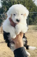 processed/3f372f00-9c60-473f-825a-91d138fc786a/listing/00268c90-1a7c-45b6-8e90-da12056b05e2/89310158-8959-46f2-83ca-f735ca5b616e