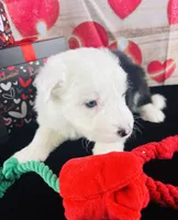 processed/3f372f00-9c60-473f-825a-91d138fc786a/listing/00268c90-1a7c-45b6-8e90-da12056b05e2/ace23c18-9e36-464a-bc96-6594d3e48a15