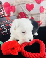 processed/3f372f00-9c60-473f-825a-91d138fc786a/listing/00268c90-1a7c-45b6-8e90-da12056b05e2/ecd31d26-925f-4fce-9cd3-db44ce580df4